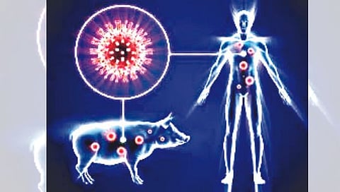 Nashik News | स्वाईन फ्लू रुग्णांसाठी झाकीर हुसेन रुग्णालयात स्वतंत्र कक्ष