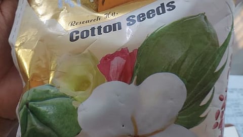 छ.संभाजीनगर: रांजणगाव येथे बोगस कापूस बियाणे विक्रीचा पर्दाफाश; एकाला अटक