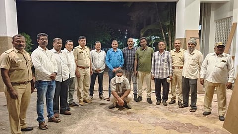 कोल्हापूर : जंगली डुकराच्या शिकारी प्रकरणी एकास अटक