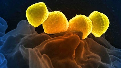 कोरोनापेक्षाही भयंकर रोग आला; ४८ तासांत होतो मृत्यू