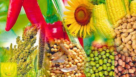 खरीप पिकांच्या आधारभूत किमतीत वाढ