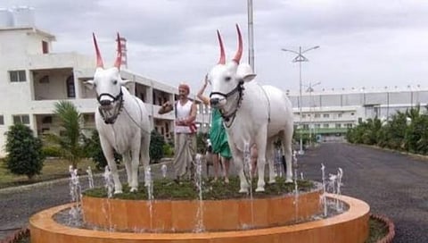 बळीराजा साखर कारखाना