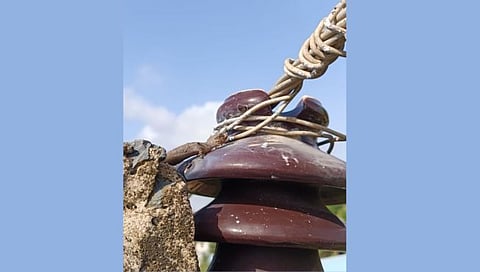 निपाणी : शहबाहेरील हरीनगर परिसरातील विद्युत खांबावरील वायर कुरतडणारा सरडा. )फोटो:अक्षय चौगुला)