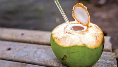 Coconut water : नारळात कुठून येते पाणी?
