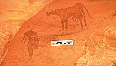 चार हजार वर्षांपूर्वीच्या शैलचित्रात ‘सहारा’चे हिरवे रूप