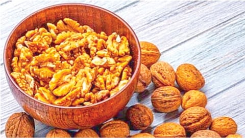 अक्रोड भिजवून खाणे अधिक लाभदायक