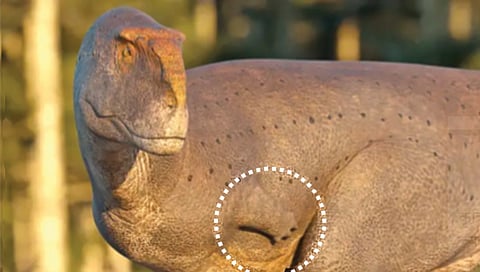 ‘या’ डायनासोरला होते अतिशय छोटे हात!