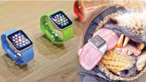 स्मार्ट वॉचने टिपले सिंहाच्या हृदयाचे ठोके!