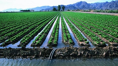 बळीराजाच्या नाकातोंडात ‘पाणी’ जाण्याची चिन्हे!