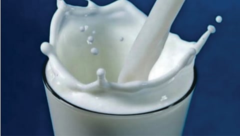 उन्हाळ्यात थंड दुधाचे सेवन ठरते लाभदायक