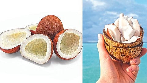 fresh coconuts healthier than dried