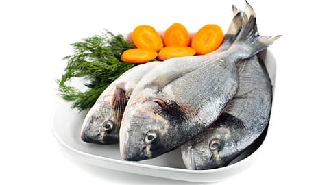 Eat Fish for Brain Health