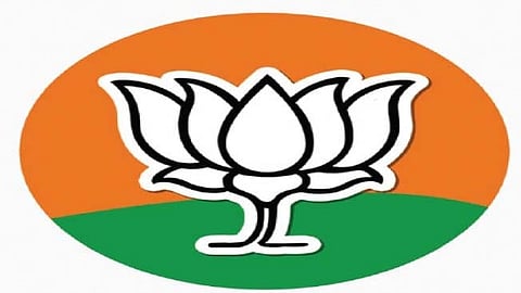 Loksabha Election 2024, BJP