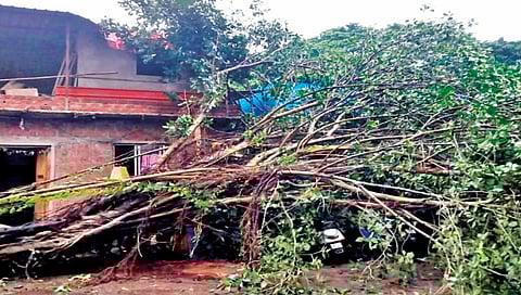 Heavy rains in 15 dam areas including Radhanagari