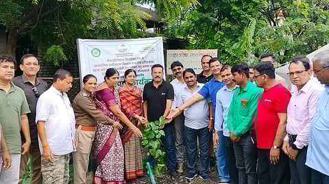 वृक्षारोपण