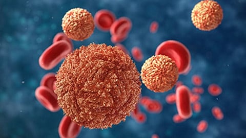 The effect of Zika on the fetus will be known after eighteen weeks