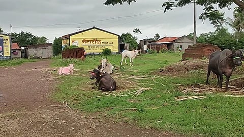 The flood-affected camp in Takliwadi is still not open