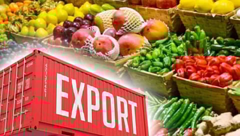 Export of Vegetables