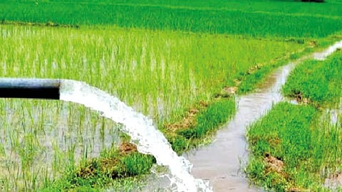 पूर नियंत्रण आणि जलसिंचन योजनांसाठी अर्थसंकल्पात तरतूद