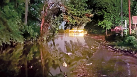 rains raised the level of the Panchganga by 8 feet