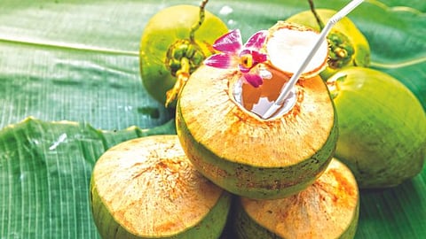 Name of Coconut Story