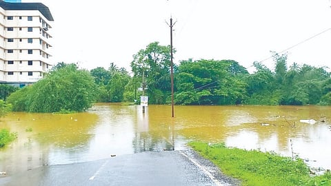 Kudal Flood Situation