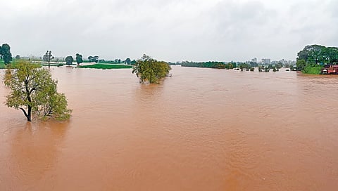 635.12 mm average in 10 days in Kolhapur district. the rain
