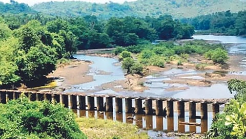 Mhadei Water Dispute