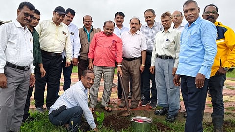 पिंपळनेर,जि.धुळे