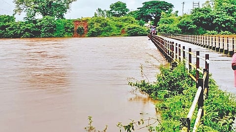 Satara Rain