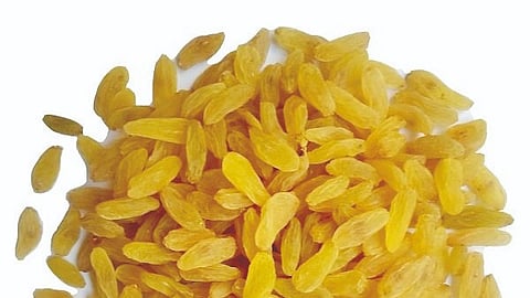 Production and sale of raisins by seven people