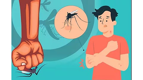 Dengue disease is currently on the rise in the city