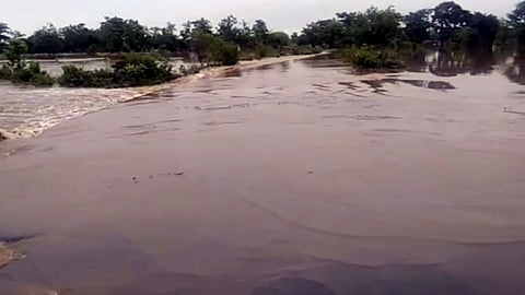 Heavy rains have flooded rivers in Gondia