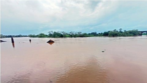 2 feet rise in Panchganga water level