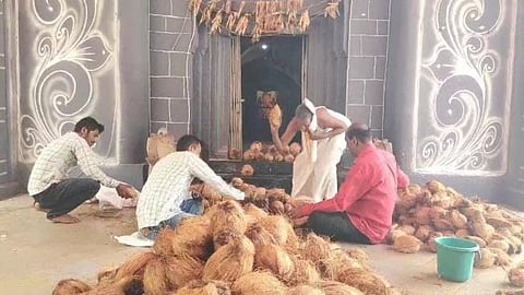 Pankaja Munde's chance at Legislative Council; Activists broke 5000 coconuts and fulfilled their vows