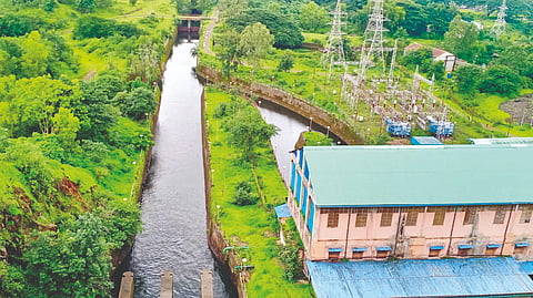 chandoli dam Power Generation