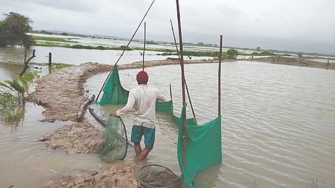 Kharepat flooding -Damage to 300 fish ponds