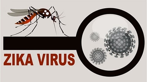 Zika Virus