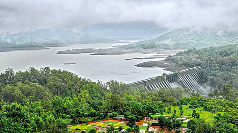 Koyna Dam Water Level