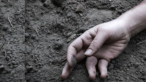 Farmers in Bhagathan died due to electric shock