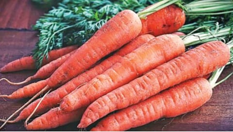 Health Benefits of Carrots