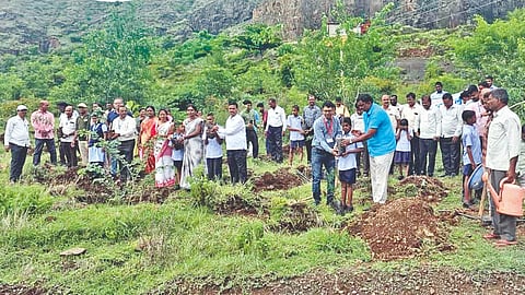 43 Thousand Tree Plants in satara District