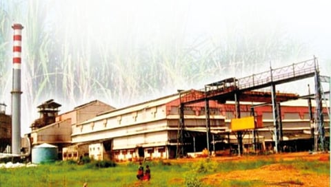 Maharashtra tops the country in sugar production