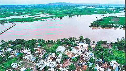 Sangli flood News