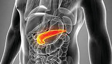proper diet beneficial for pancreatic health