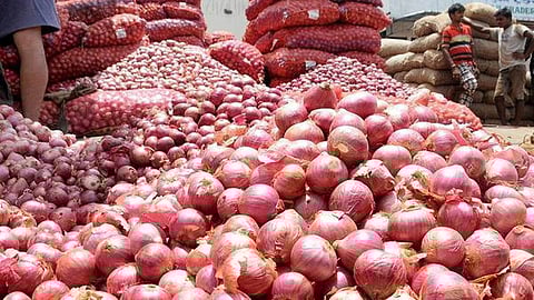 Onion Export News