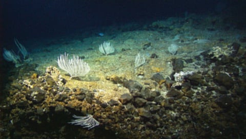 Excavation 1268 meters deep below the seabed