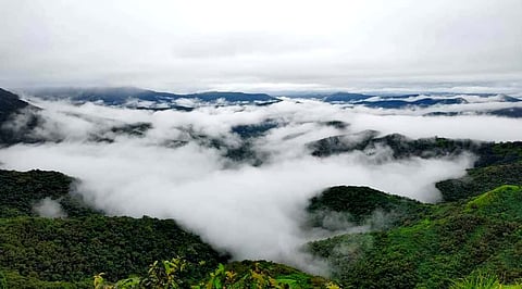 Amba Ghat lost in fog, Tourists' choice for Monsoon tourism