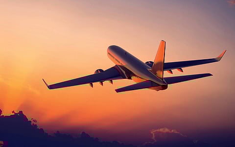 Many airlines strictly prohibit their passengers from carrying coconuts