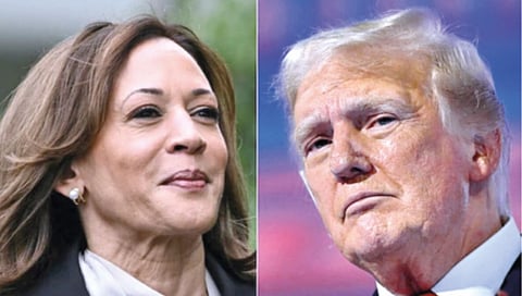 Kamala Harris’ popularity level surges